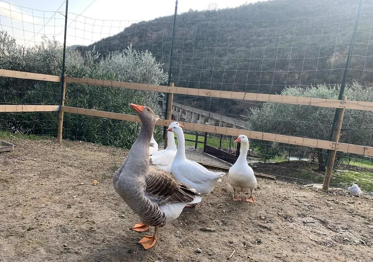 Agriturismo Peq Agri-Resort Tovo Tovo San Giacomo Farma