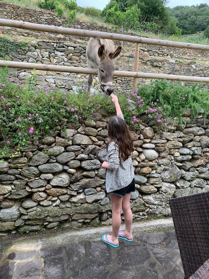 Bauernhof Agriturismo Peq Agri-Resort Tovo Tovo San Giacomo Italien