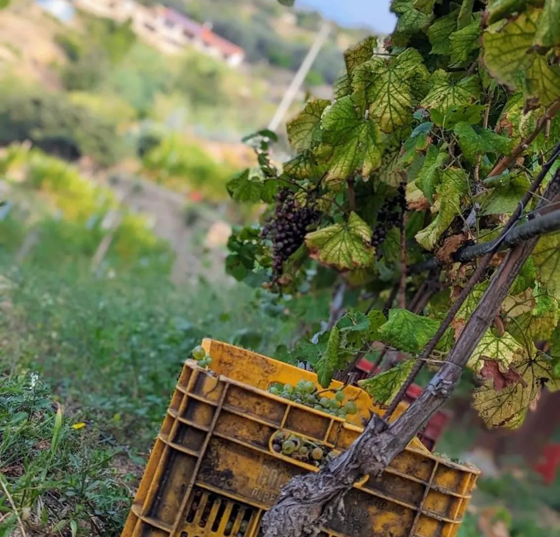 Bauernhof Agriturismo Peq Agri-Resort Tovo Tovo San Giacomo Italien