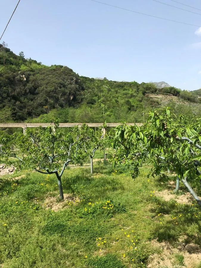 Agriturismo Peq Agri-Resort Tovo Tovo San Giacomo Séjour à la ferme