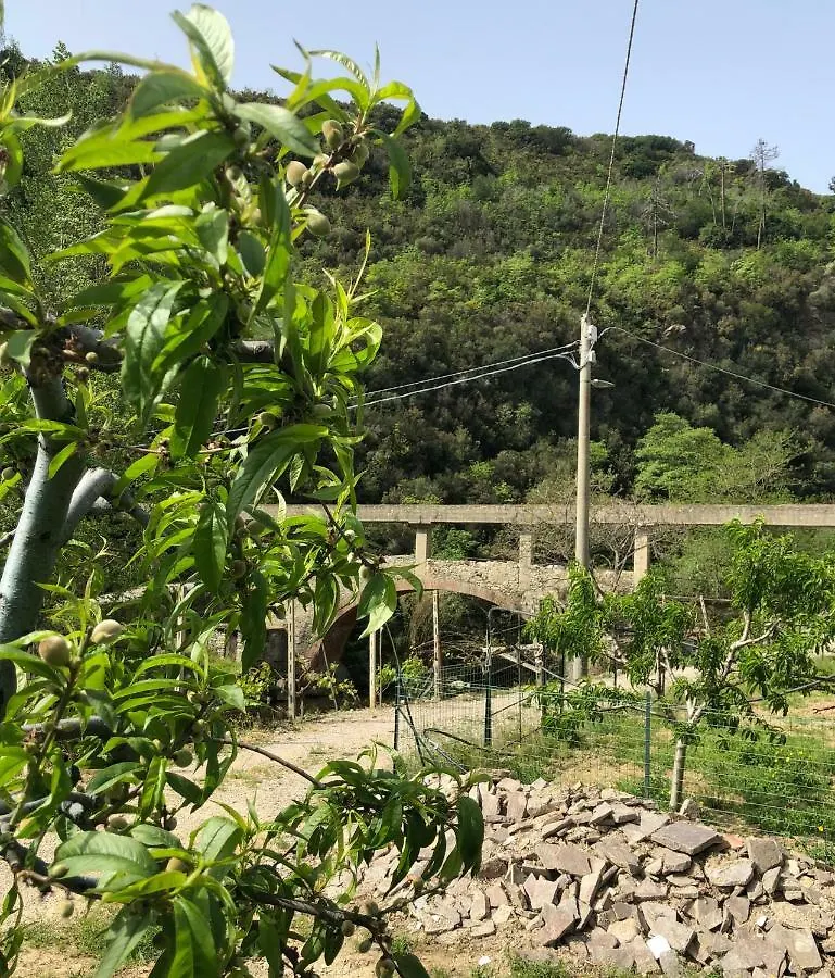 Bauernhof Agriturismo Peq Agri-Resort Tovo Tovo San Giacomo
