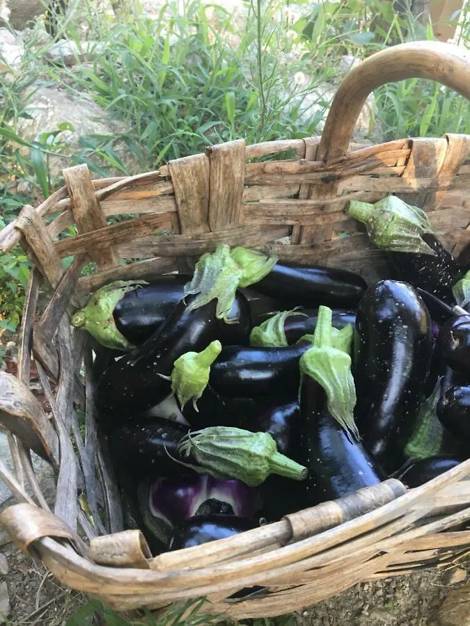 Agriturismo Peq Agri-Resort Tovo Tovo San Giacomo Farma